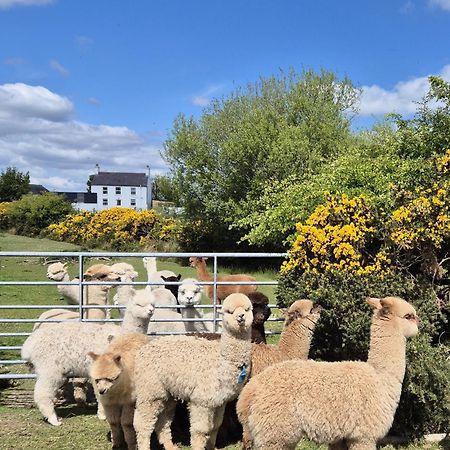 The Alpaca Farmhouse With Hot Tub And Alpaca Experience Included Dromara Ngoại thất bức ảnh