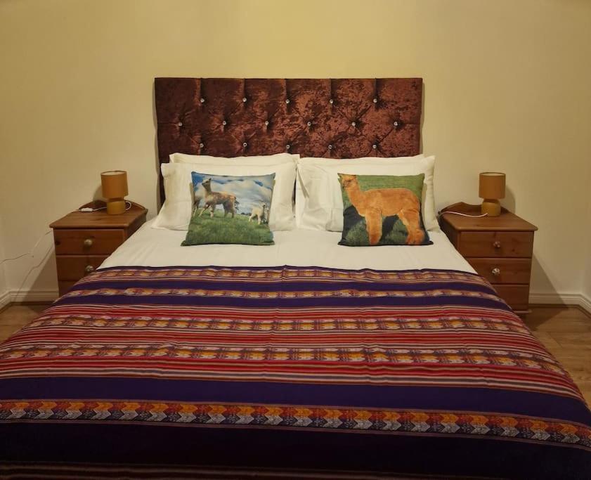 The Alpaca Farmhouse With Hot Tub And Alpaca Experience Included Dromara Ngoại thất bức ảnh