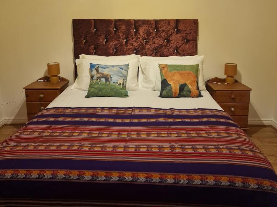 The Alpaca Farmhouse With Hot Tub And Alpaca Experience Included Dromara Ngoại thất bức ảnh